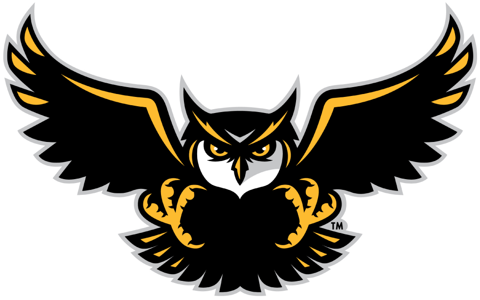 Kennesaw State Owls 2012-Pres Alternate Logo 01 iron on paper